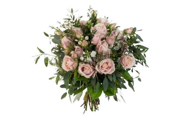 A Dozen Pink Roses